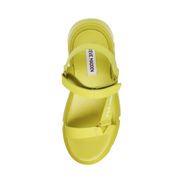 ASSERTIVE Citron Sandals by Steve Madden - top view