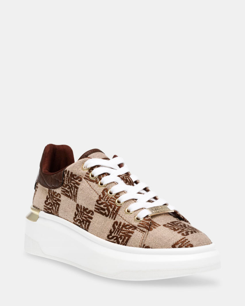 GLIDER BROWN