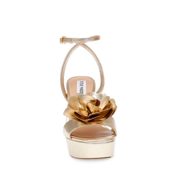STEVE MADDEN LESSA-F GOLD ALL PRODUCTS