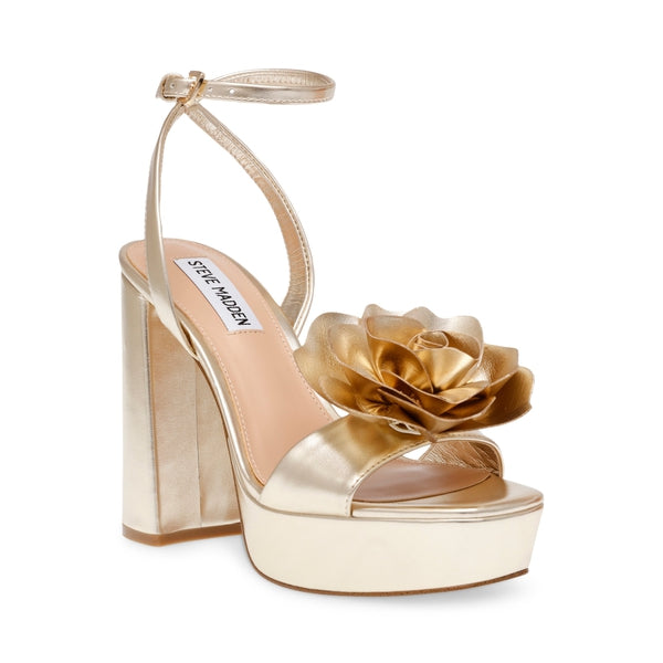 STEVE MADDEN LESSA-F GOLD ALL PRODUCTS
