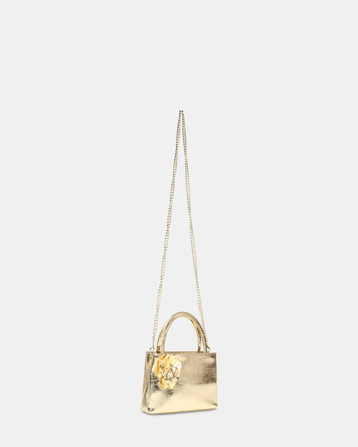 BDINO GOLD - view 2