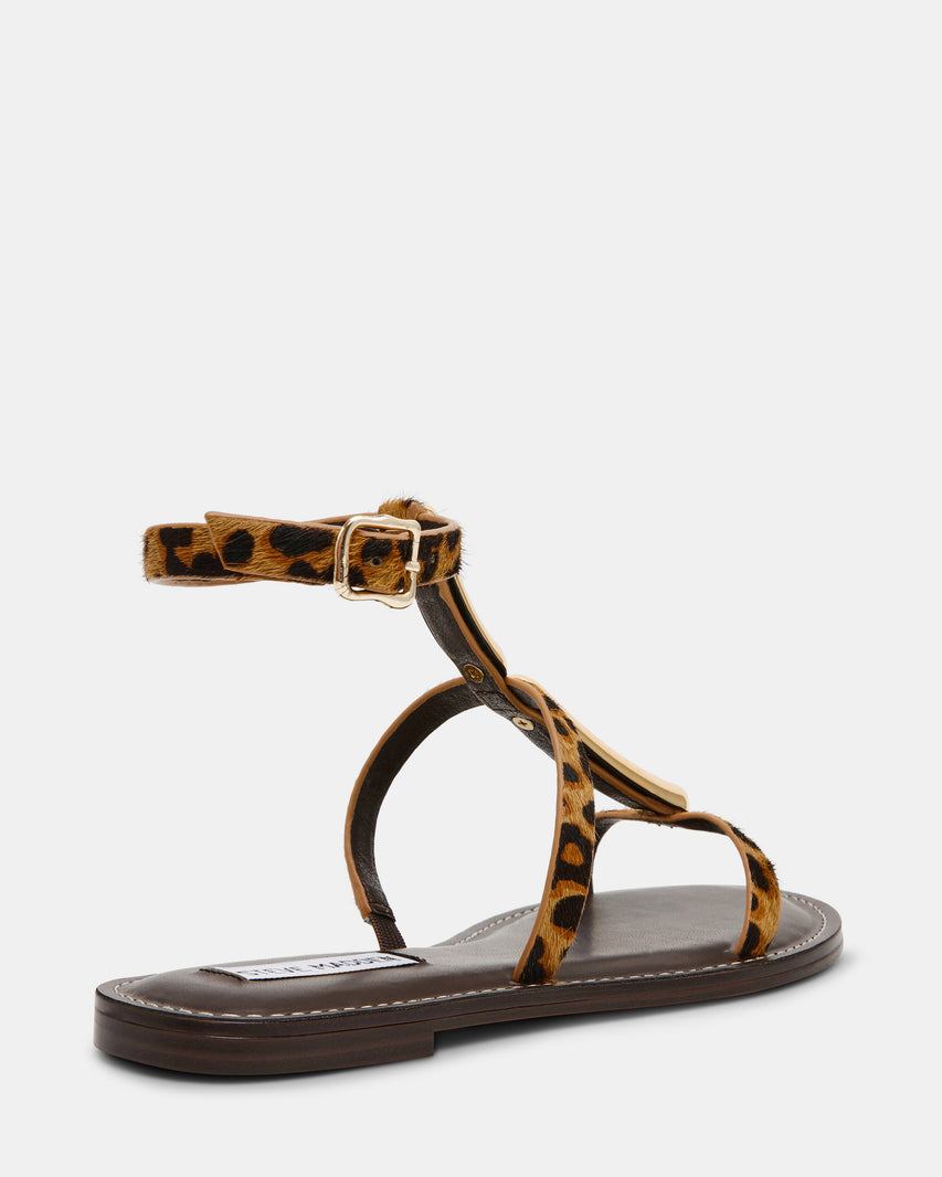 ALMA-L LEOPARD
