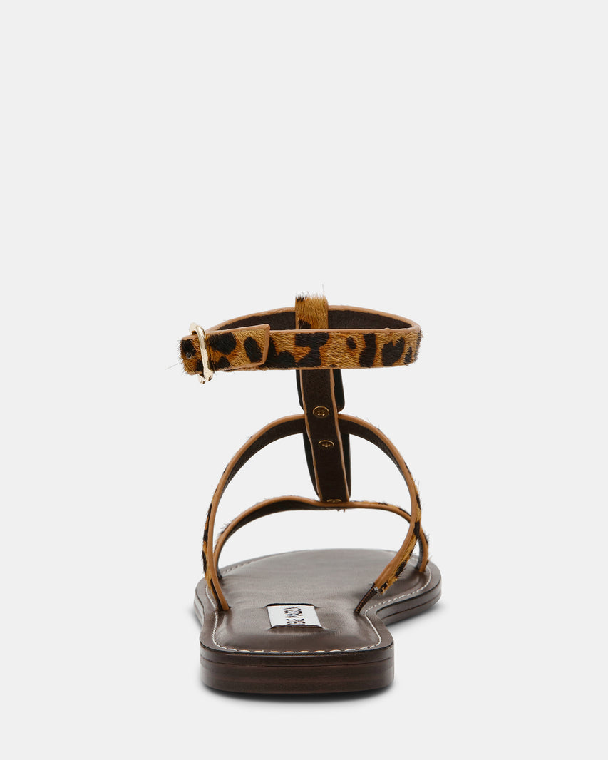 ALMA-L LEOPARD