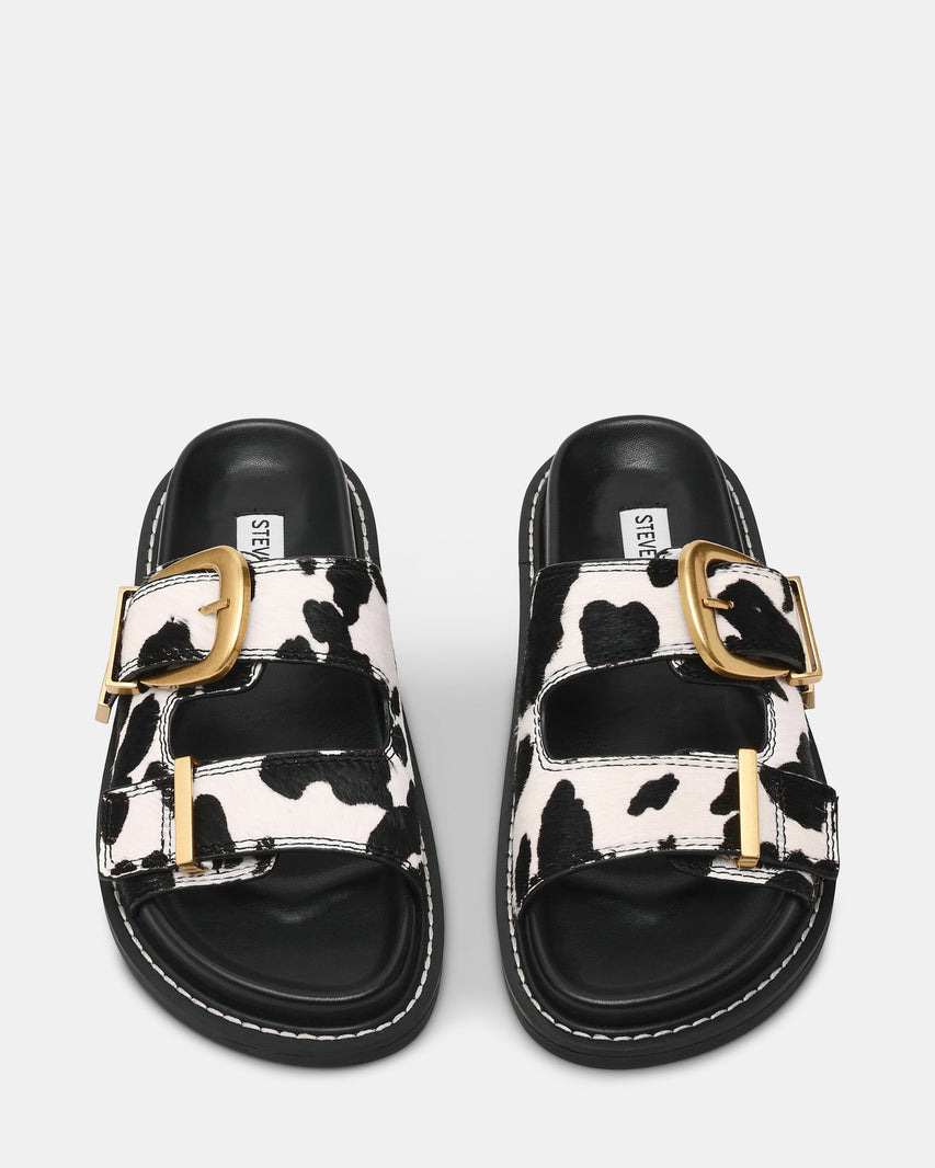 ARCH-C COW