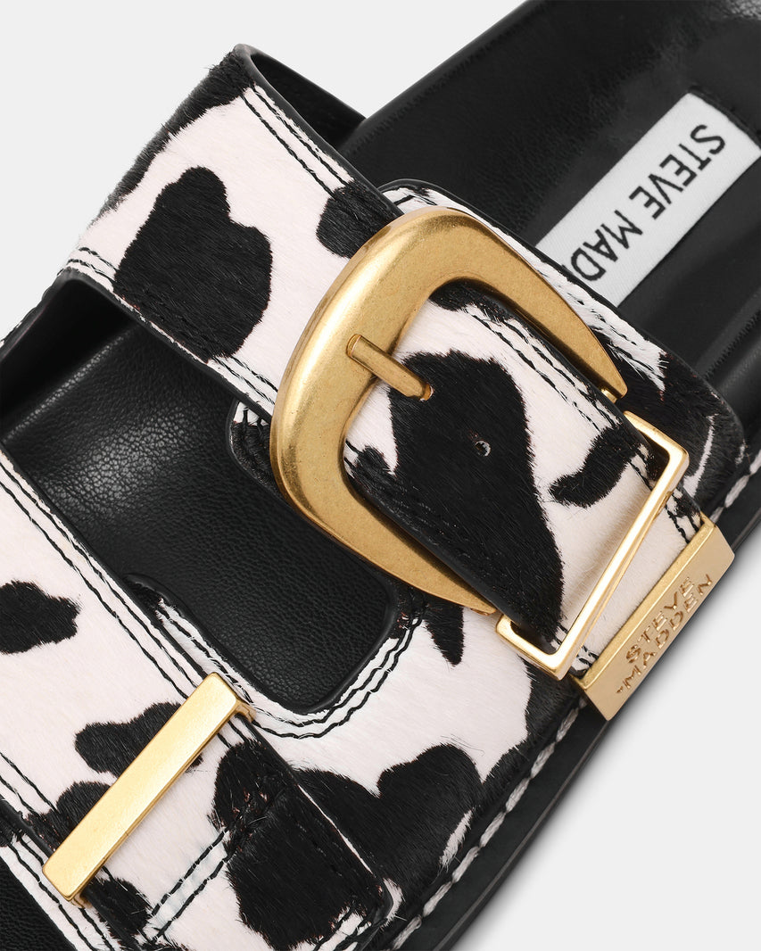ARCH-C COW