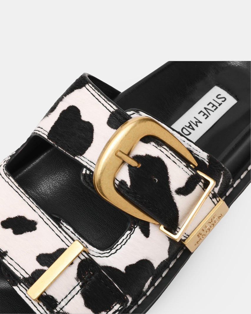 ARCH-C COW