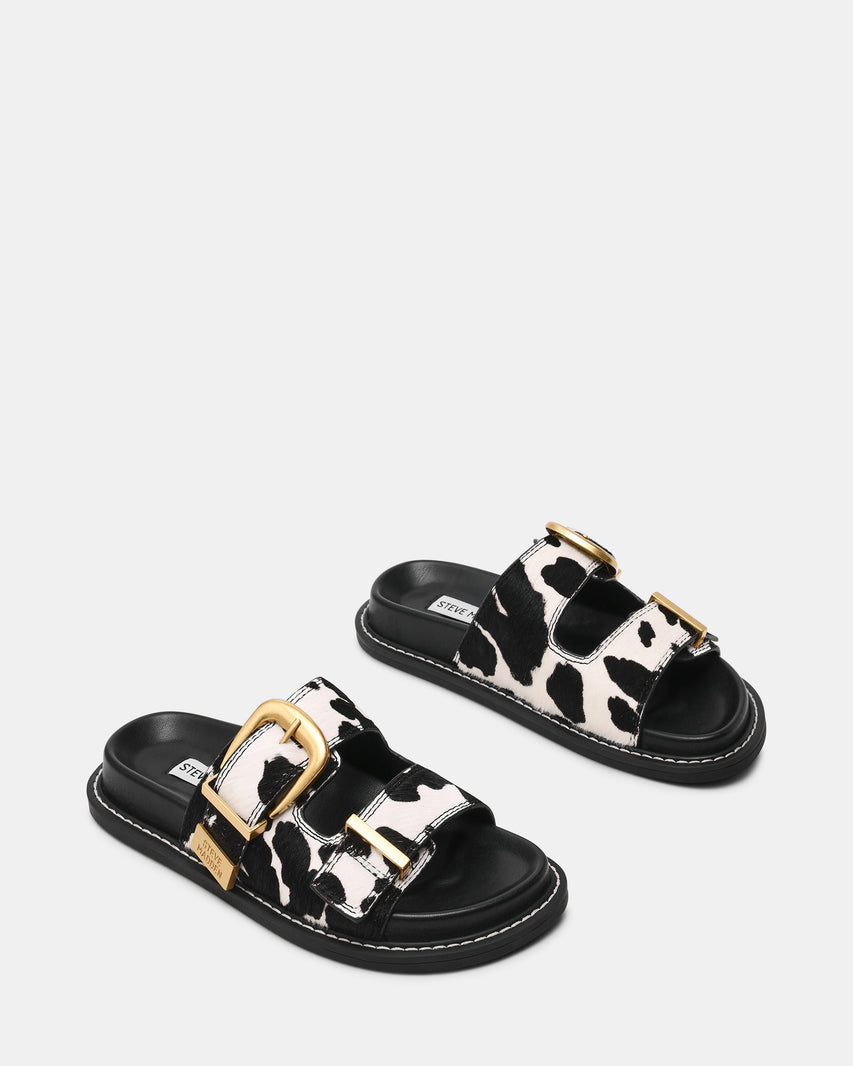 ARCH-C COW