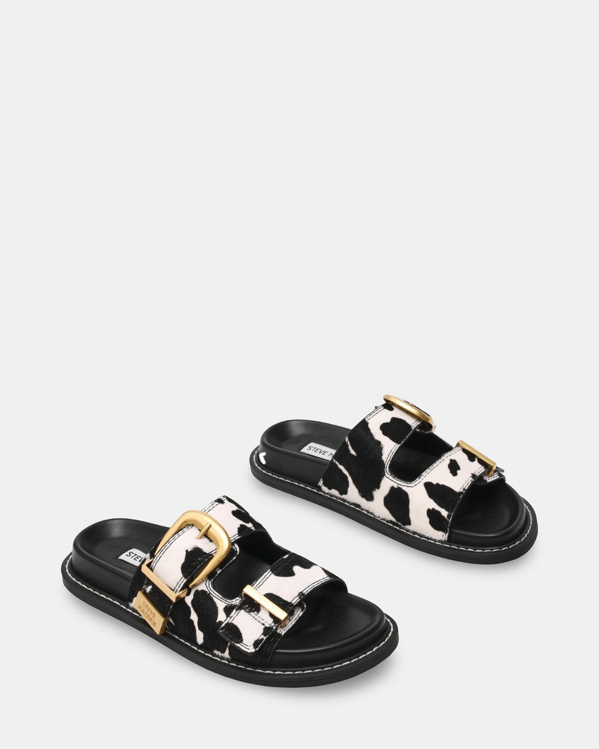 ARCH-C COW