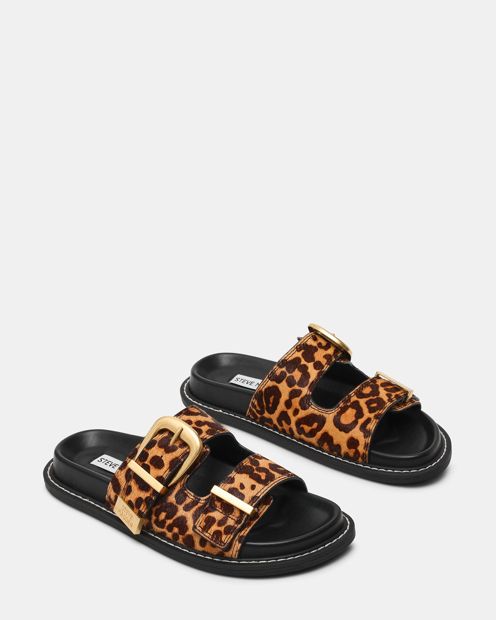ARCH-L LEOPARD