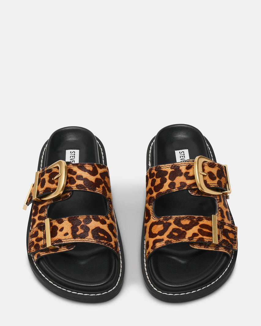 ARCH-L LEOPARD