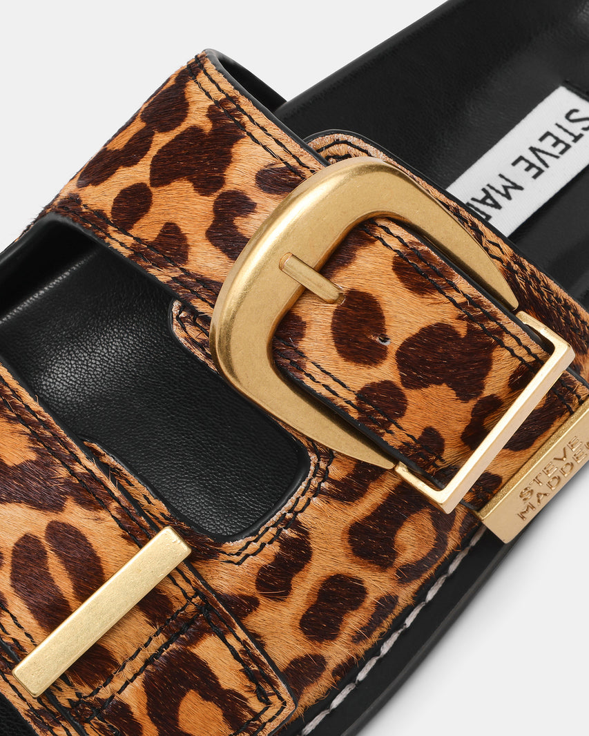 ARCH-L LEOPARD