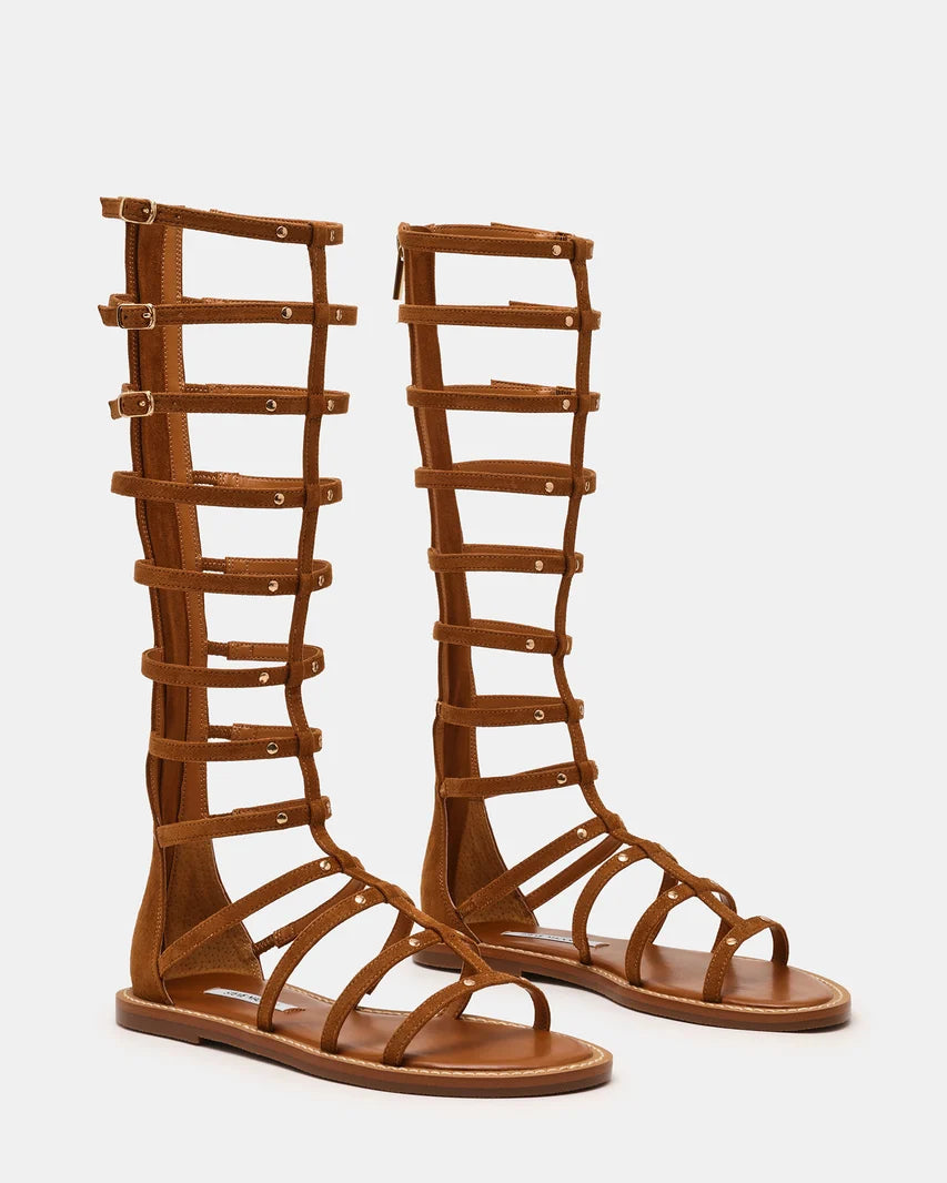 GLADIUS CHESTNUT - view 2