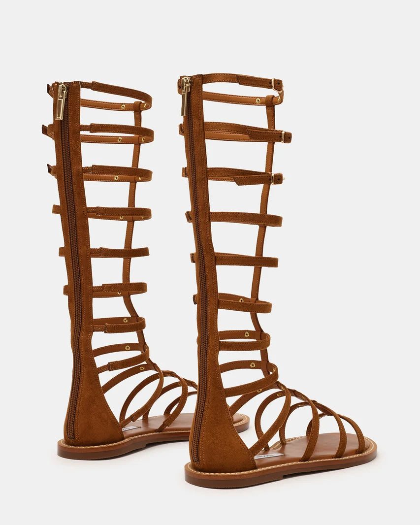 GLADIUS CHESTNUT - view 4