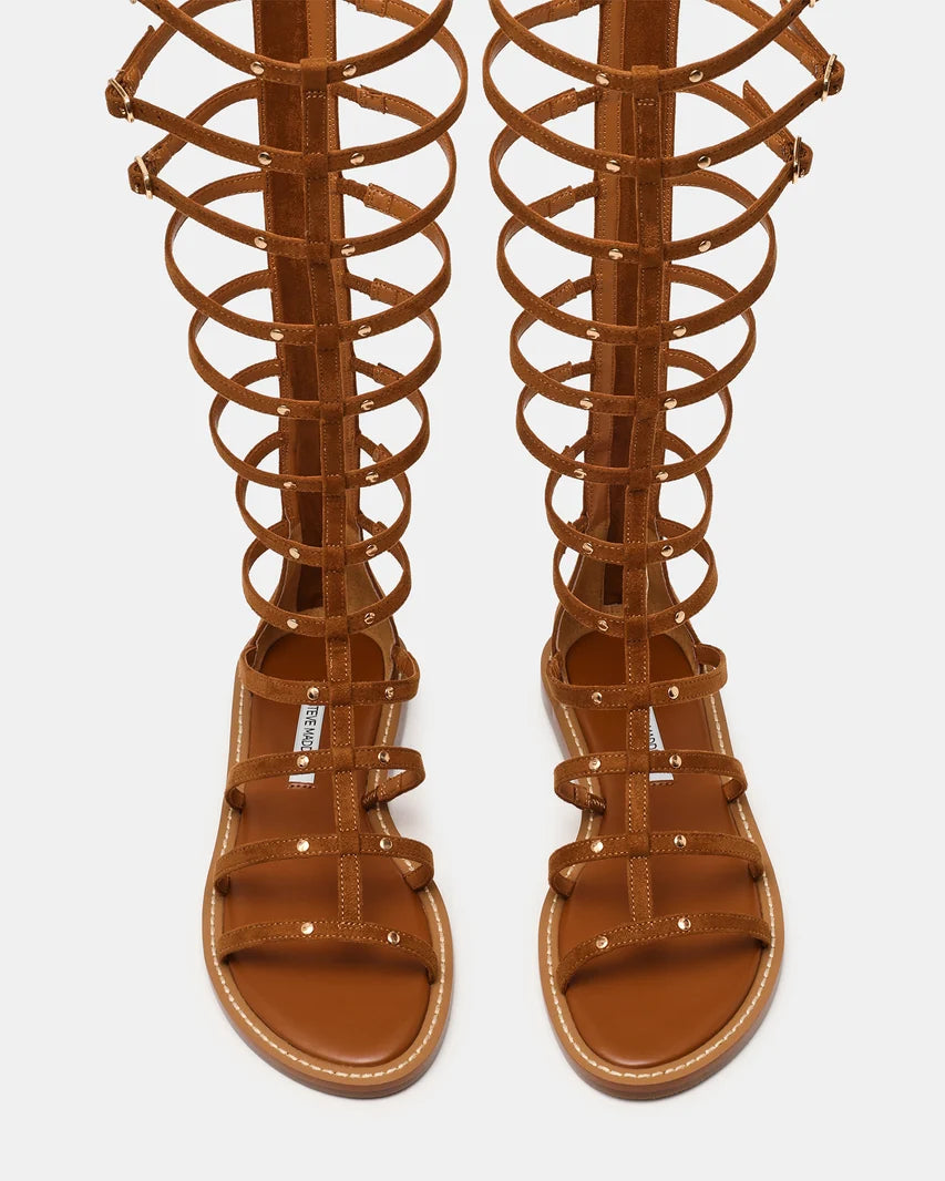 GLADIUS CHESTNUT - view 5