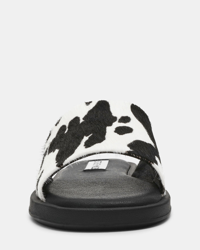 KAYA-C COW - view 3