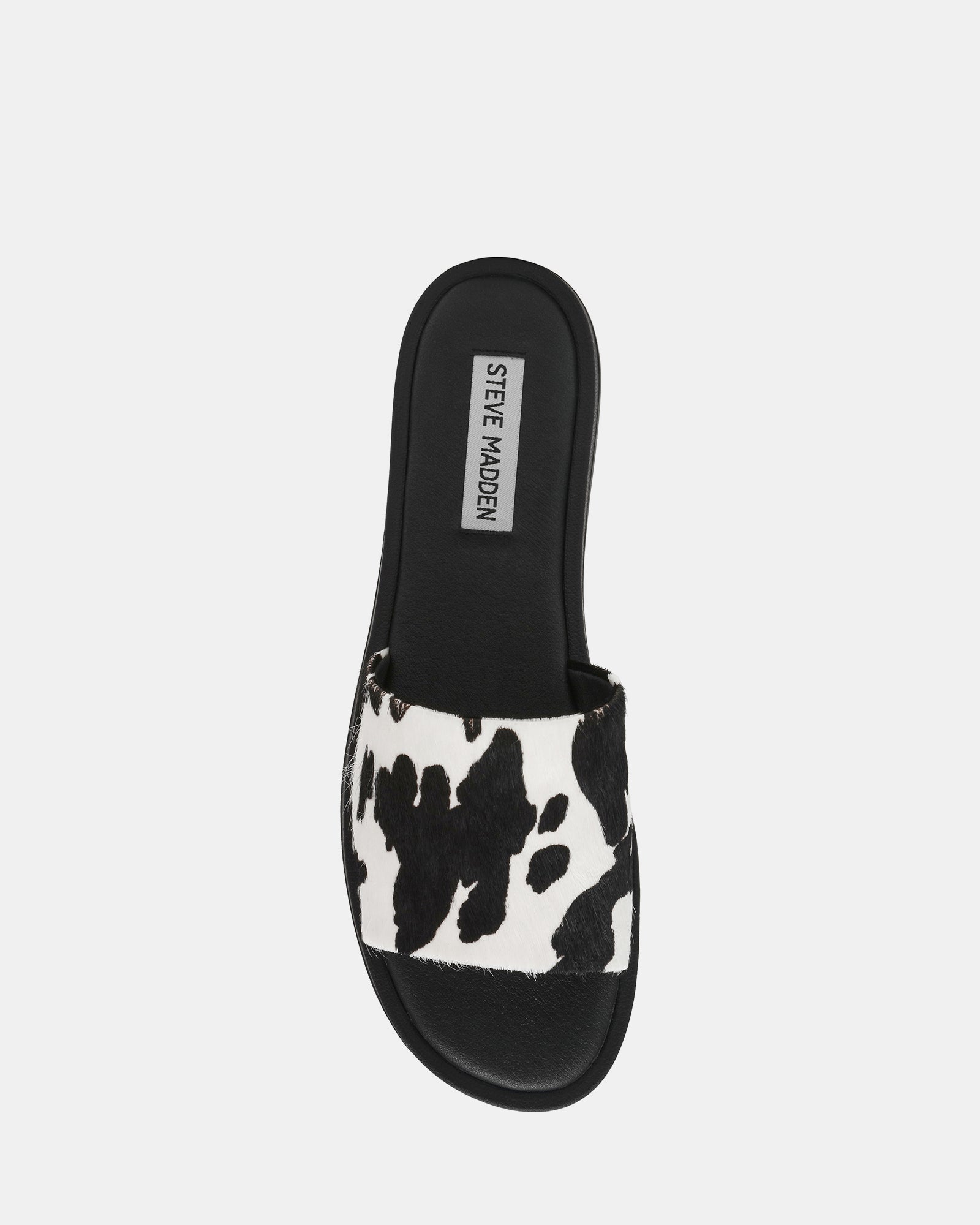 KAYA-C COW - view 4