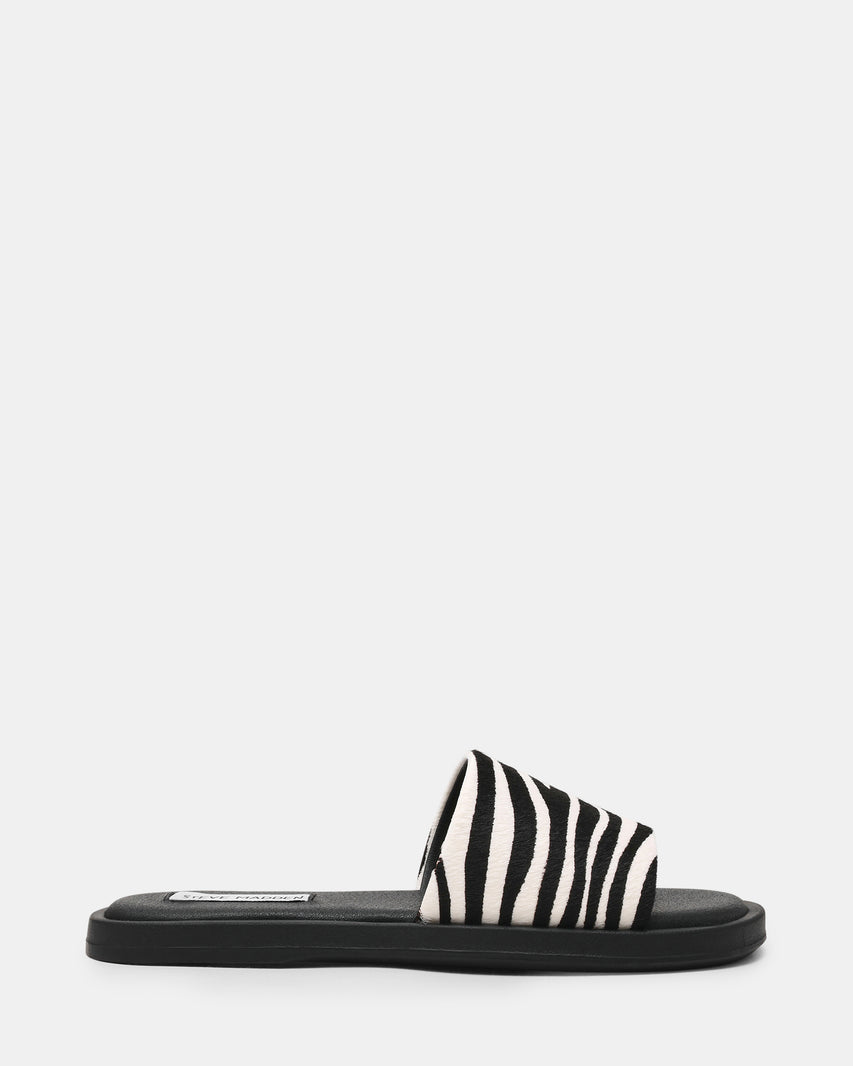 KAYA ZEBRA