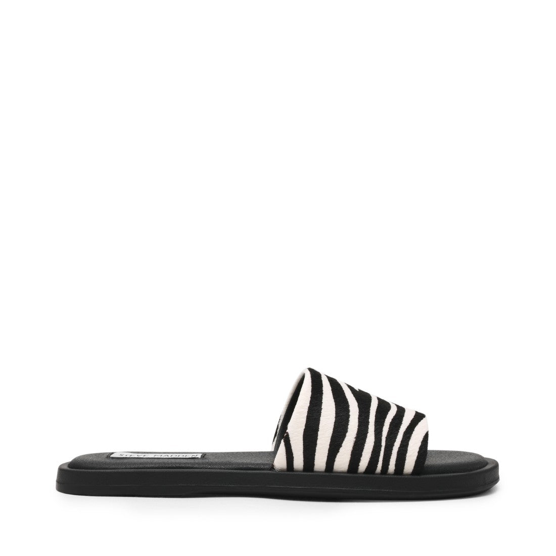 KAYA ZEBRA