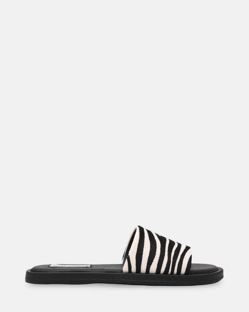 KAYA ZEBRA