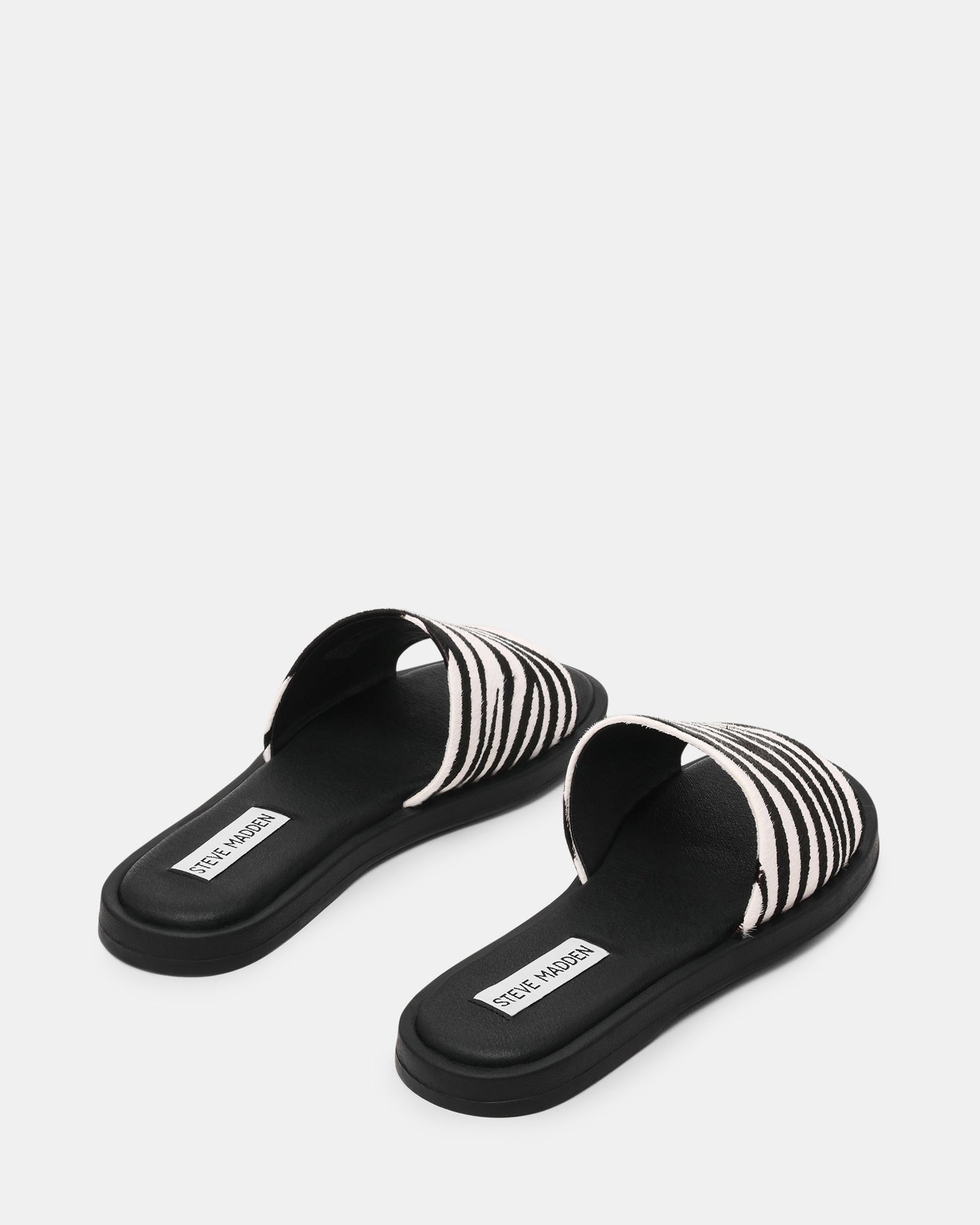 KAYA ZEBRA