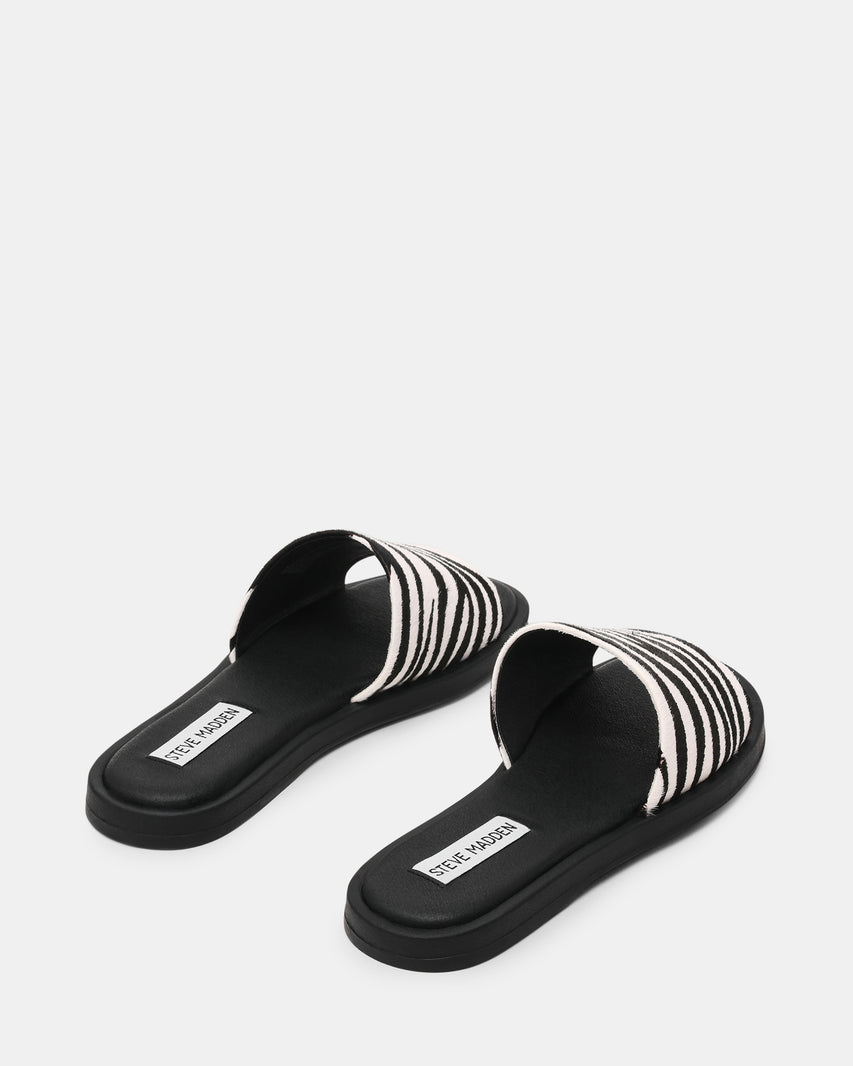 KAYA ZEBRA