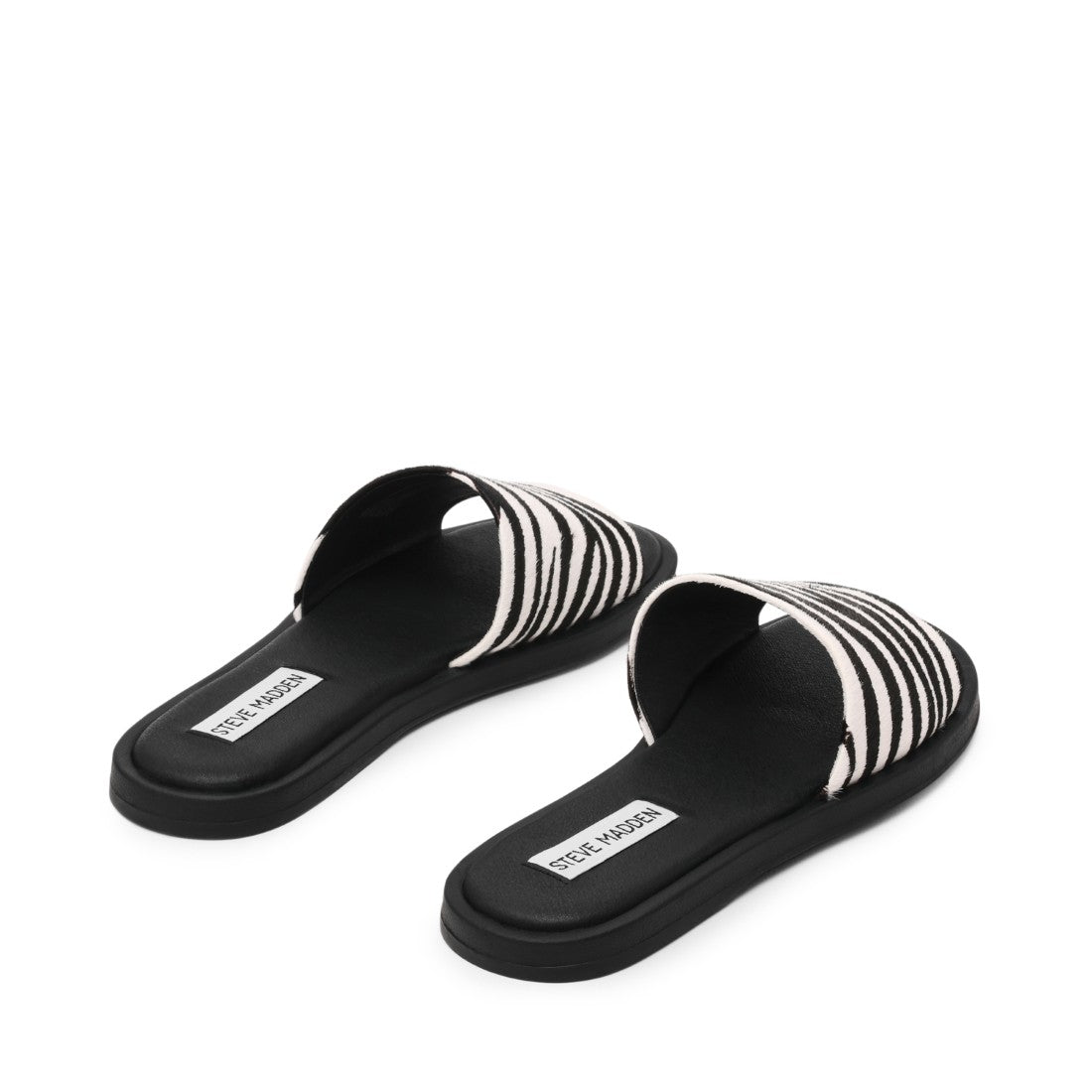 KAYA ZEBRA