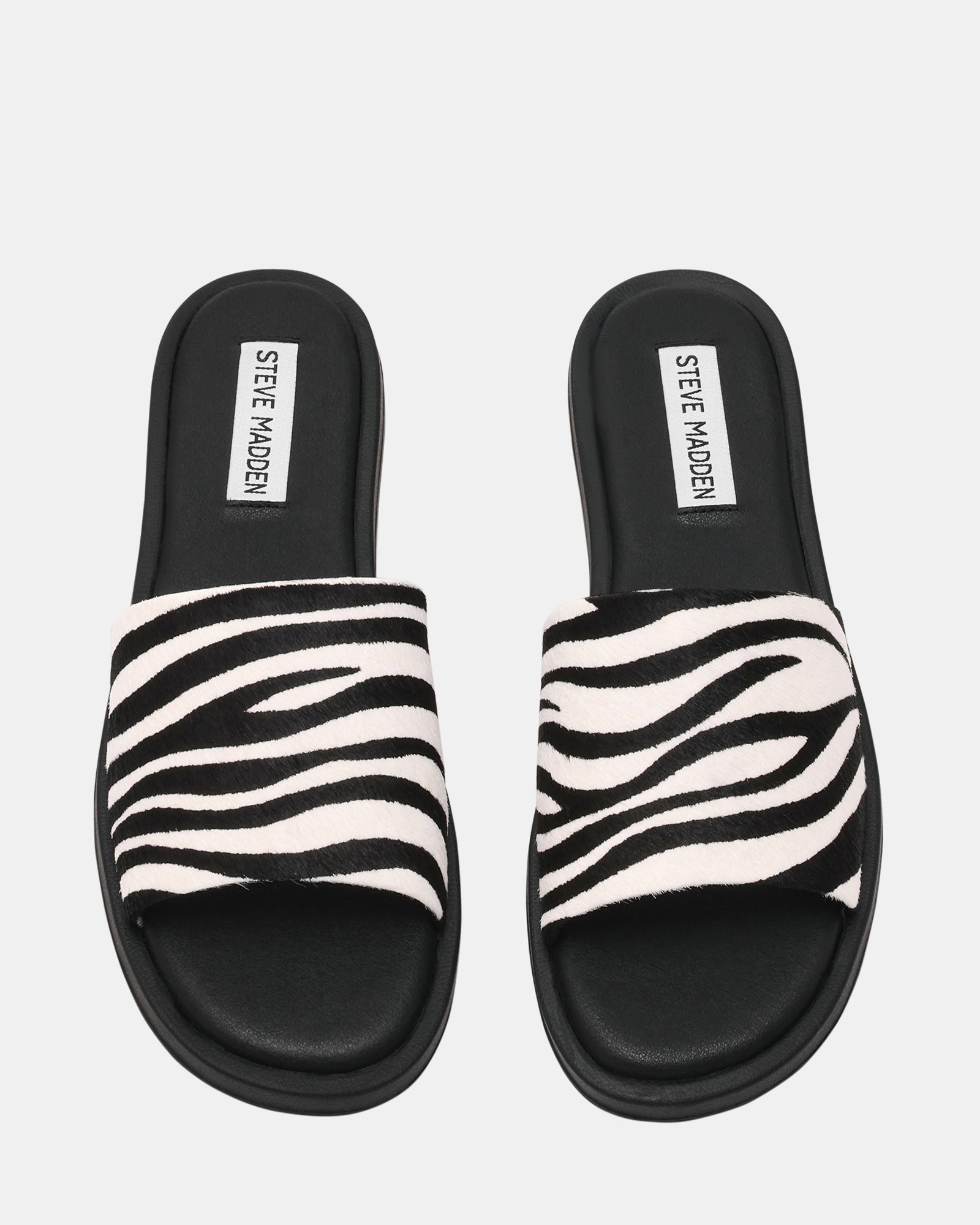 KAYA ZEBRA
