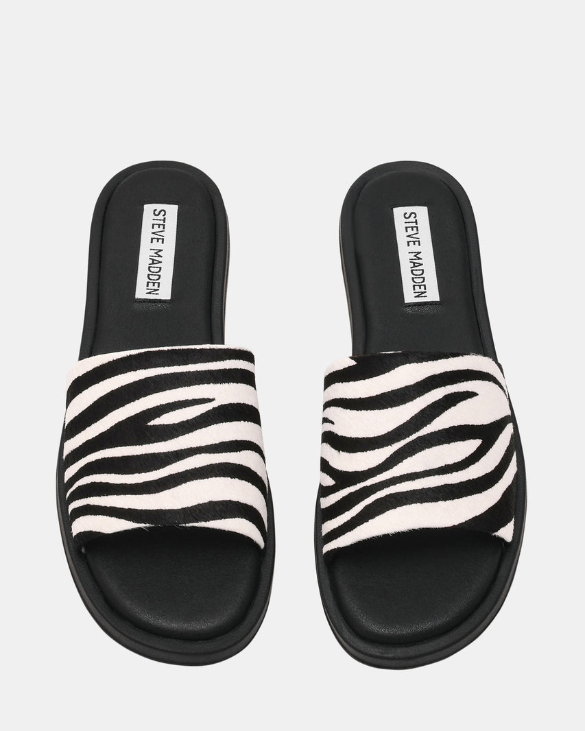 KAYA ZEBRA