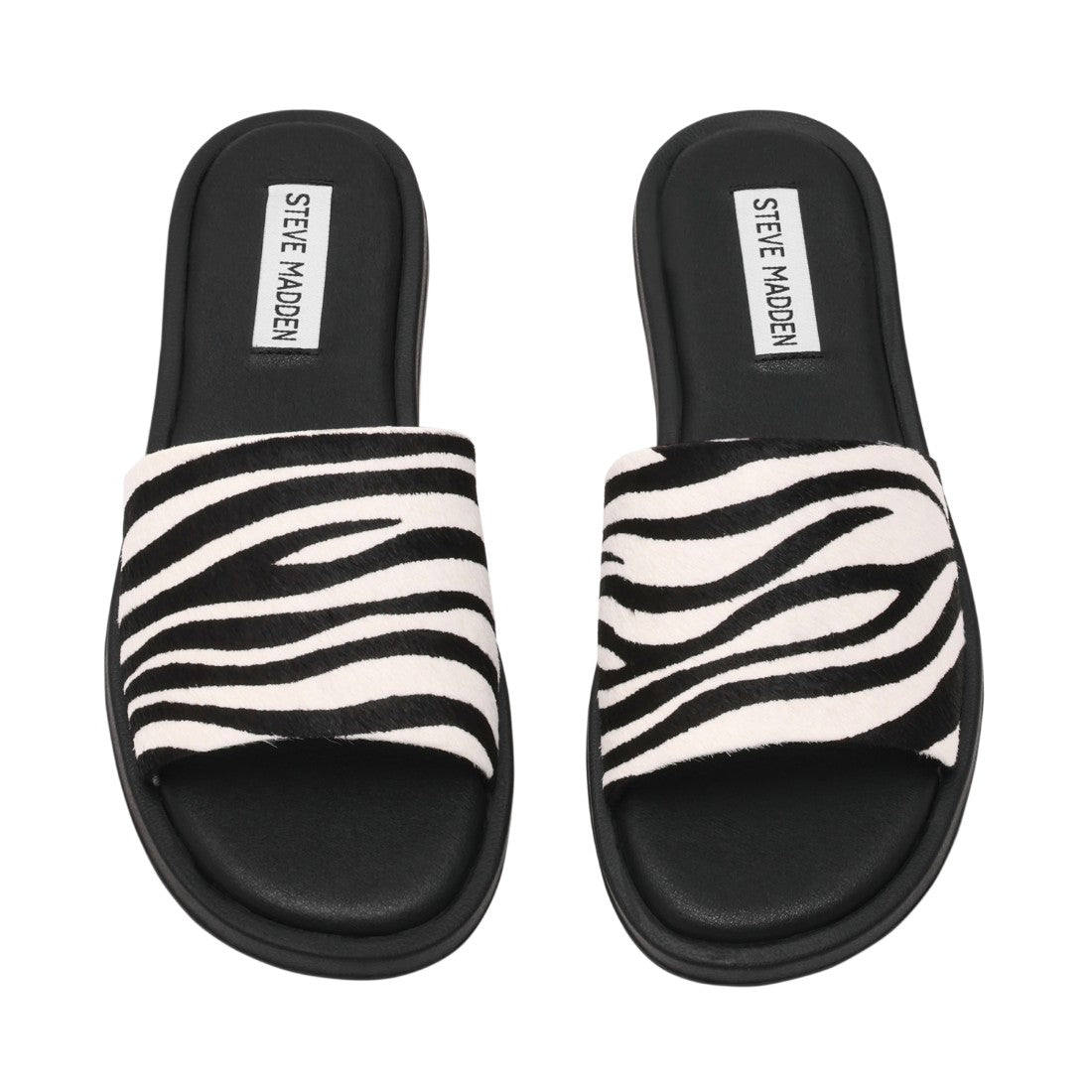 KAYA ZEBRA