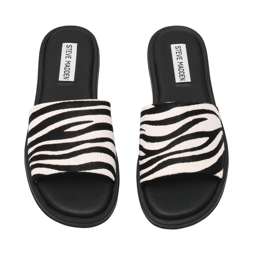 KAYA ZEBRA