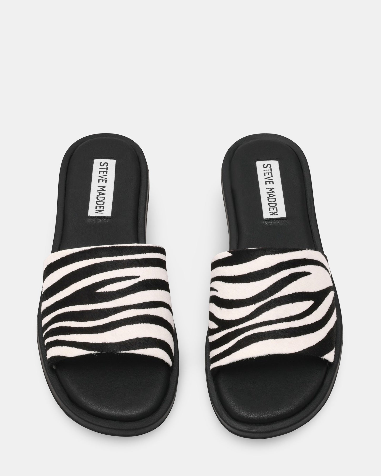 KAYA ZEBRA