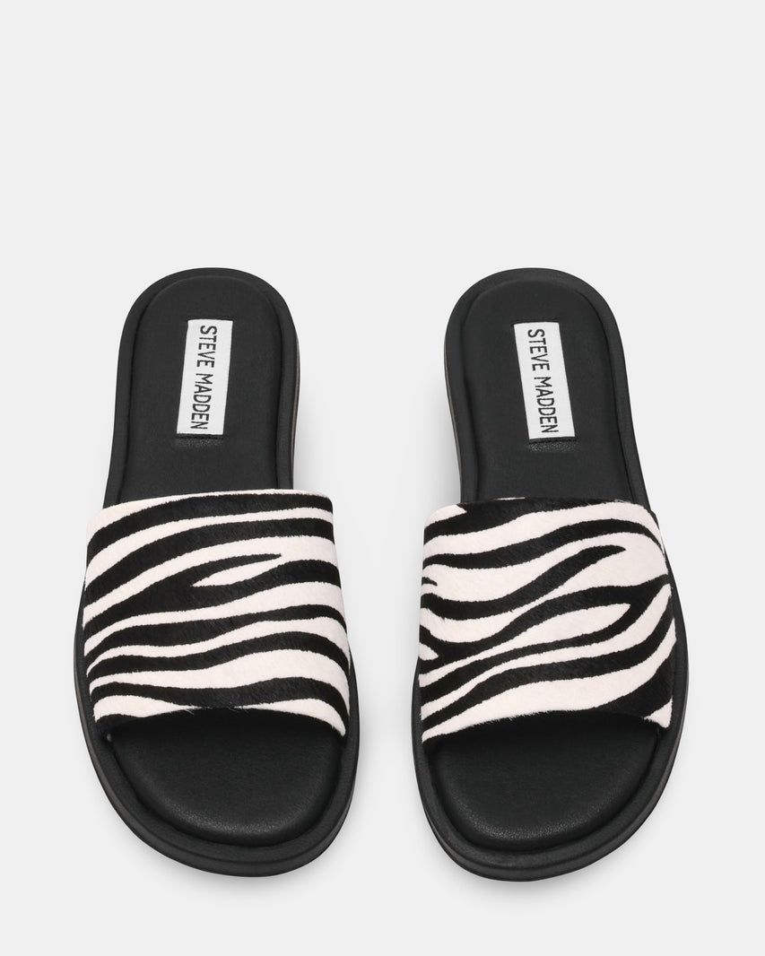KAYA ZEBRA
