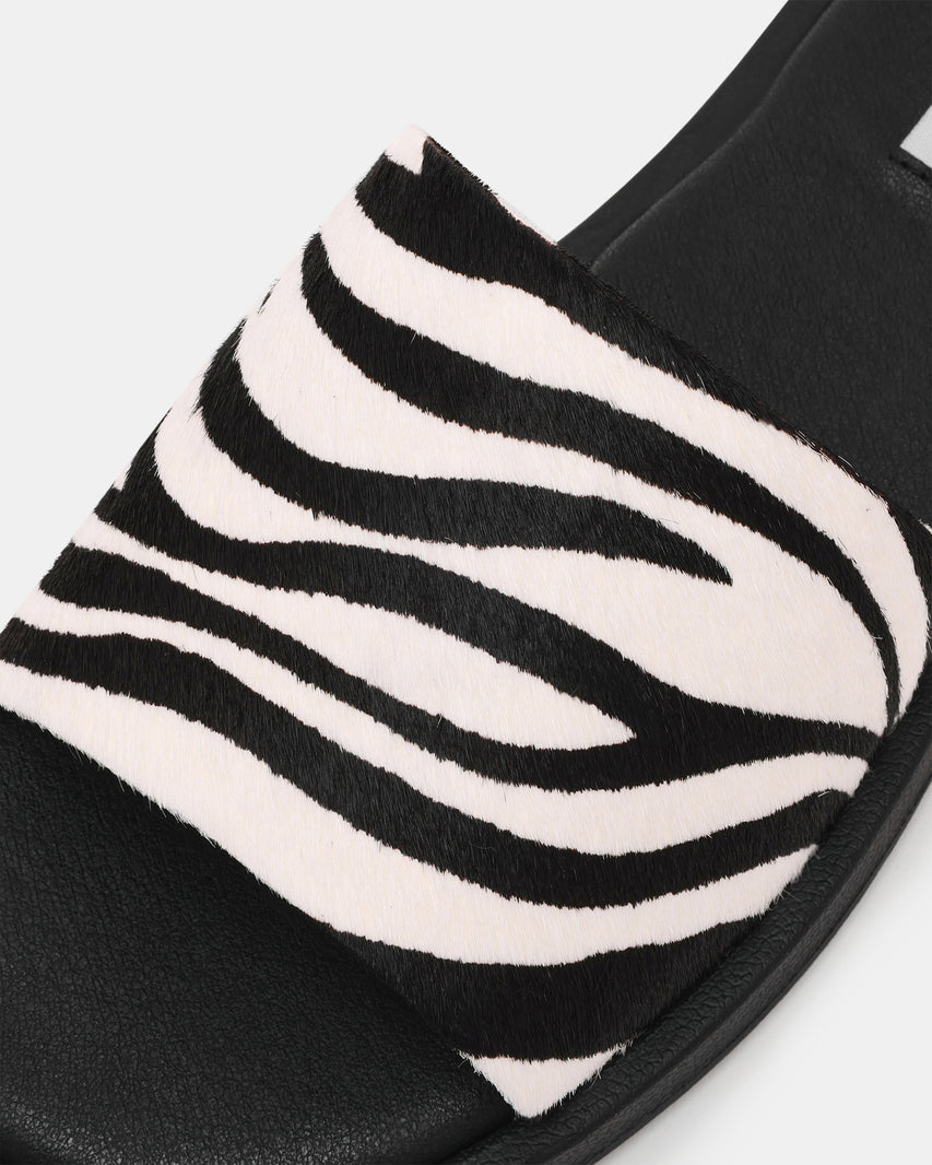 KAYA ZEBRA