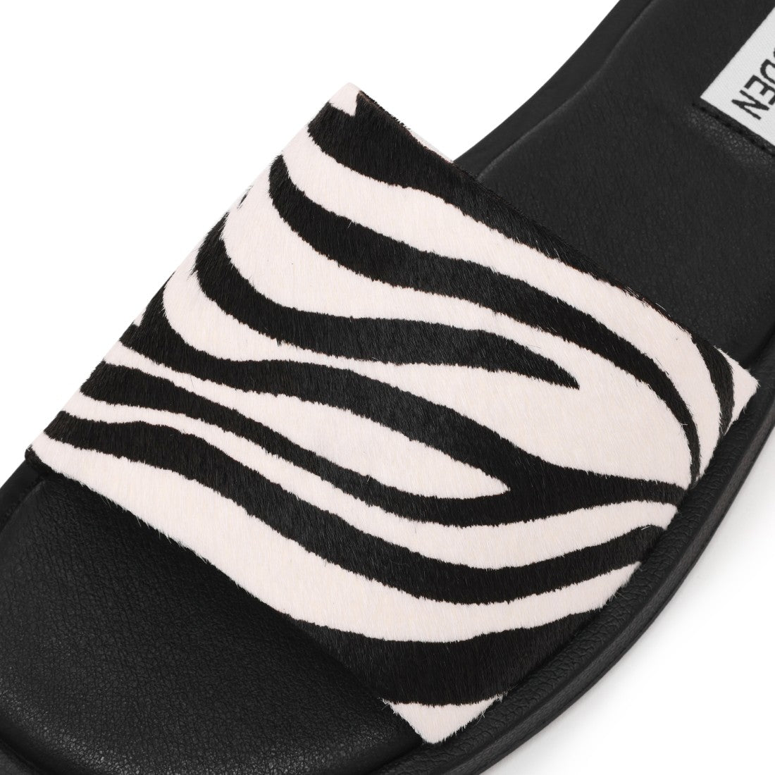 KAYA ZEBRA