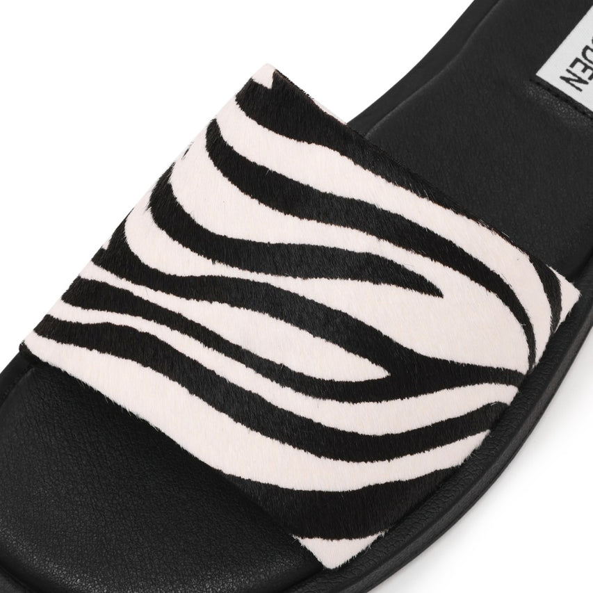 KAYA ZEBRA