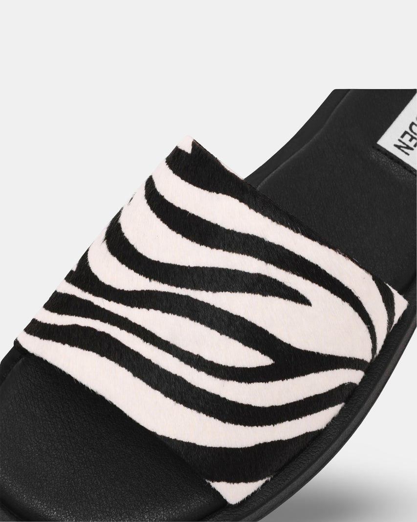 KAYA ZEBRA