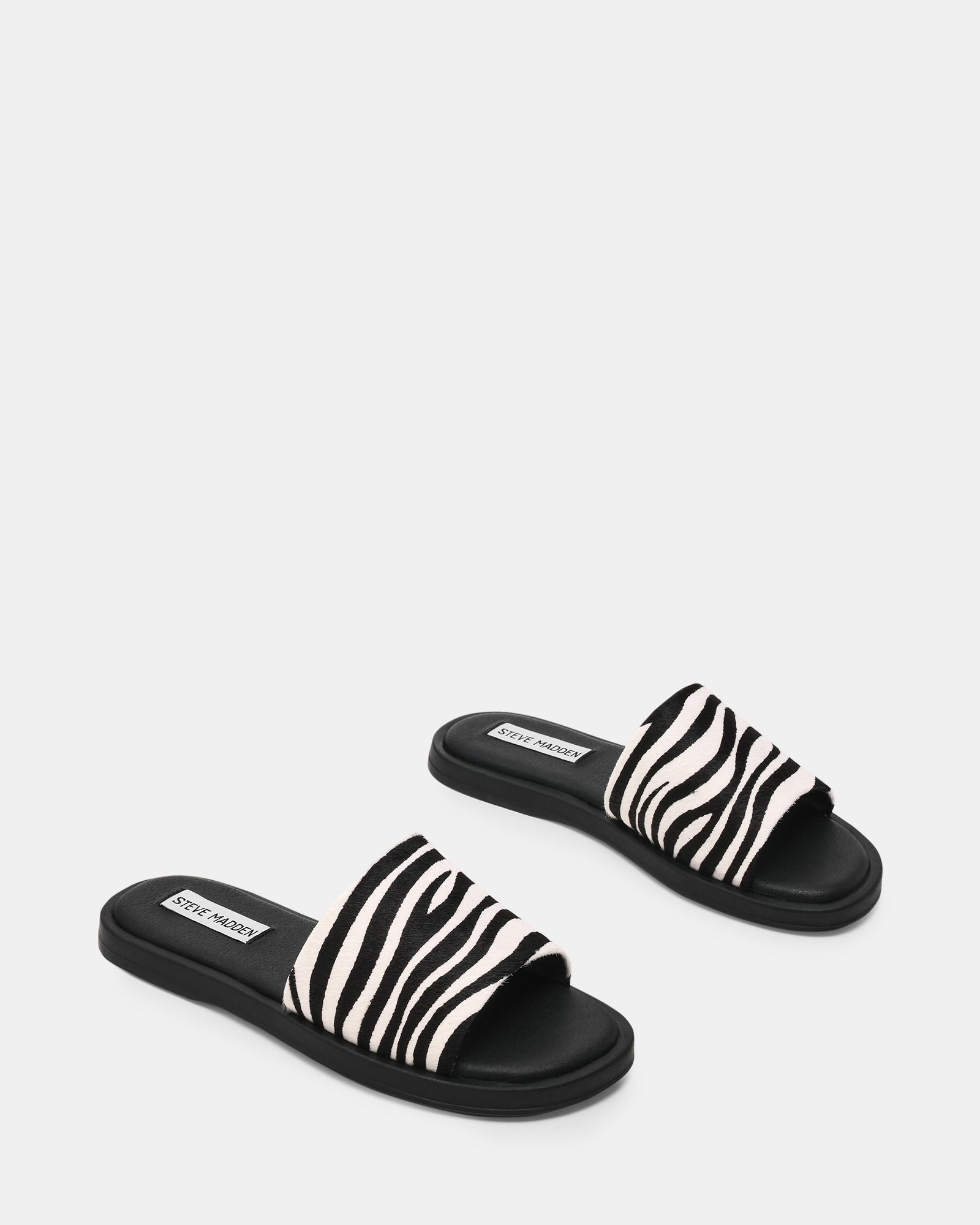 KAYA ZEBRA