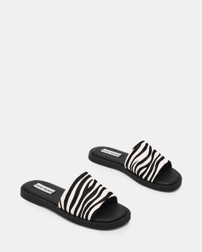 KAYA ZEBRA