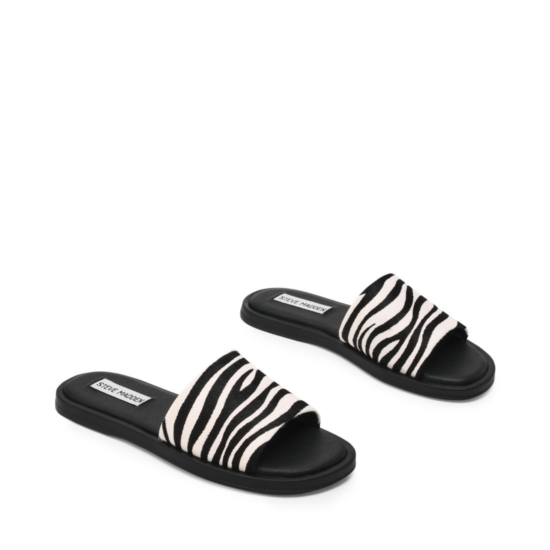 KAYA ZEBRA