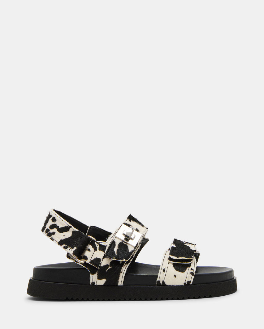 MONA-C COW