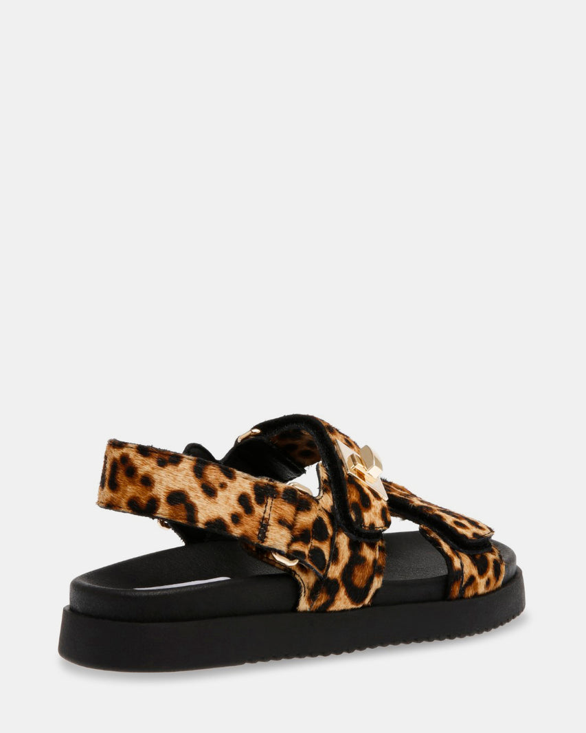 MONA LEOPARD