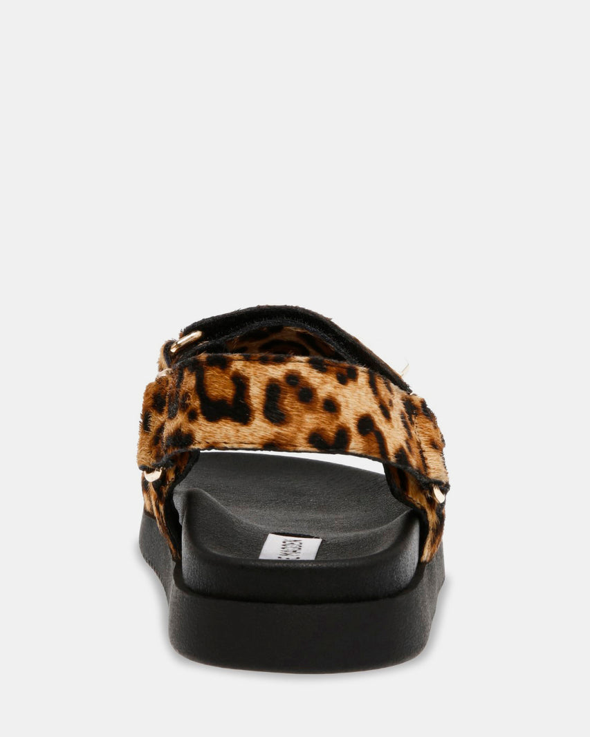 MONA LEOPARD