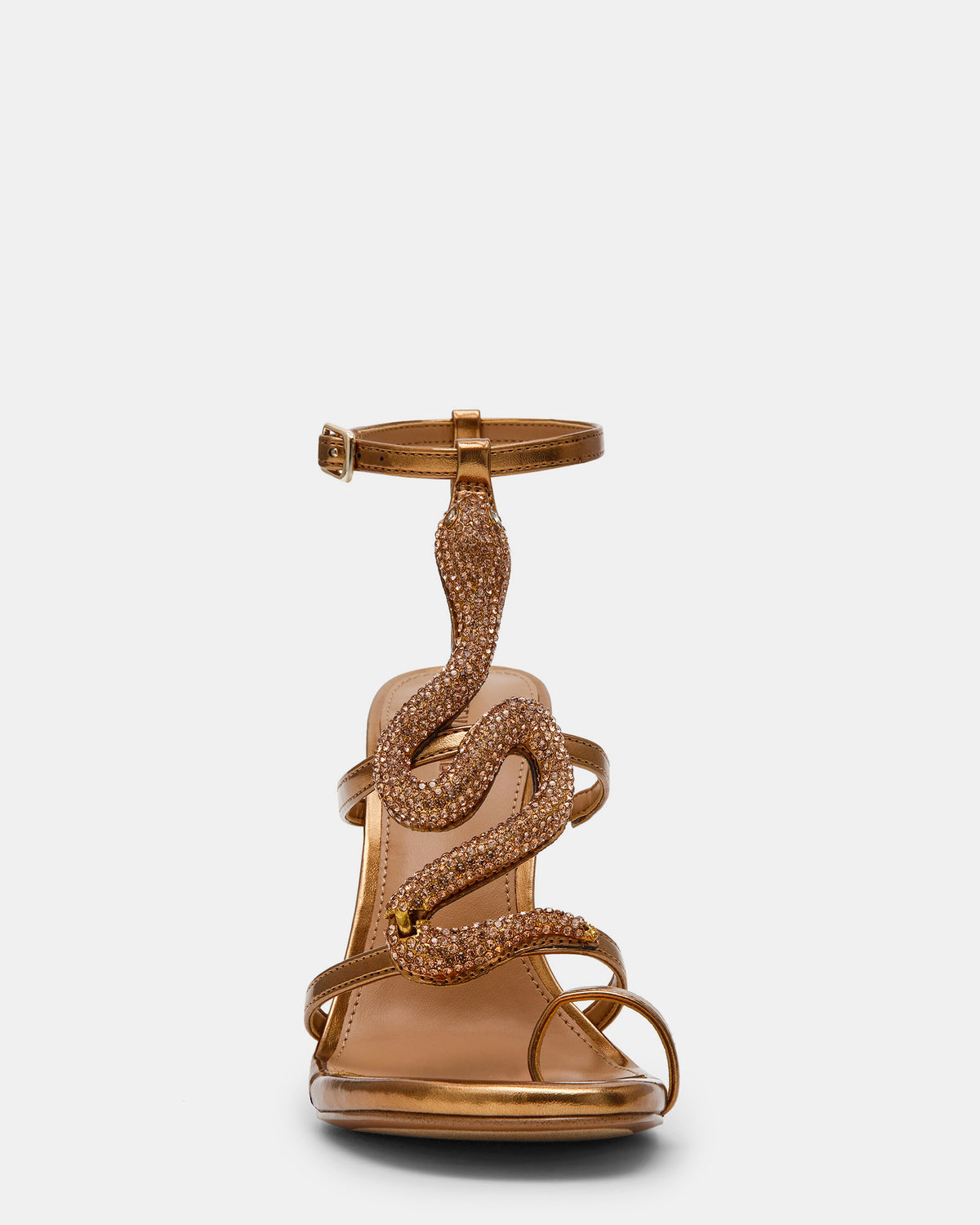 PYTHON BRONZE - view 3