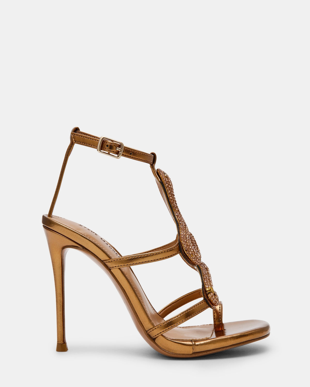 PYTHON BRONZE