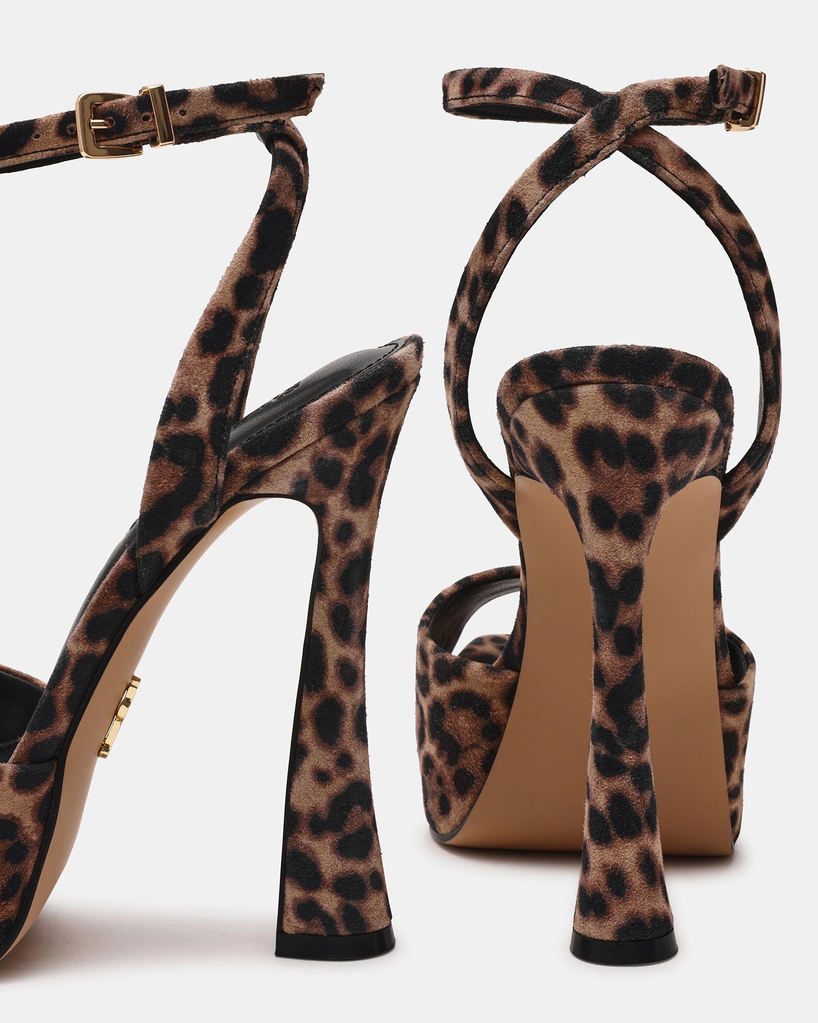 SASS-L LEOPARD