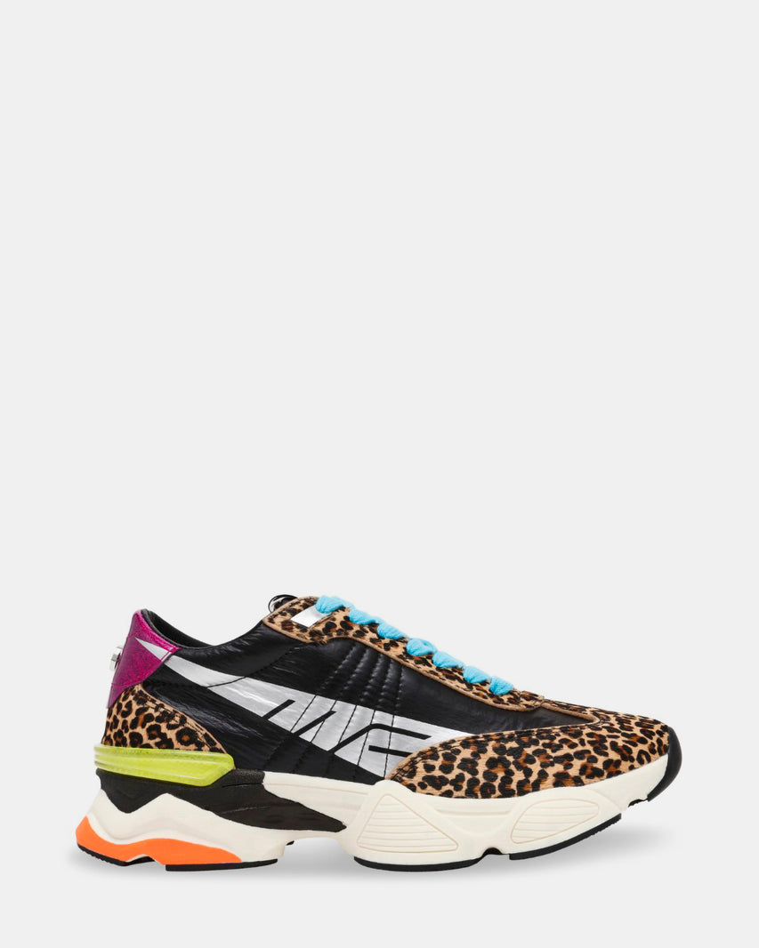 SETBACK ANIMAL MULTI