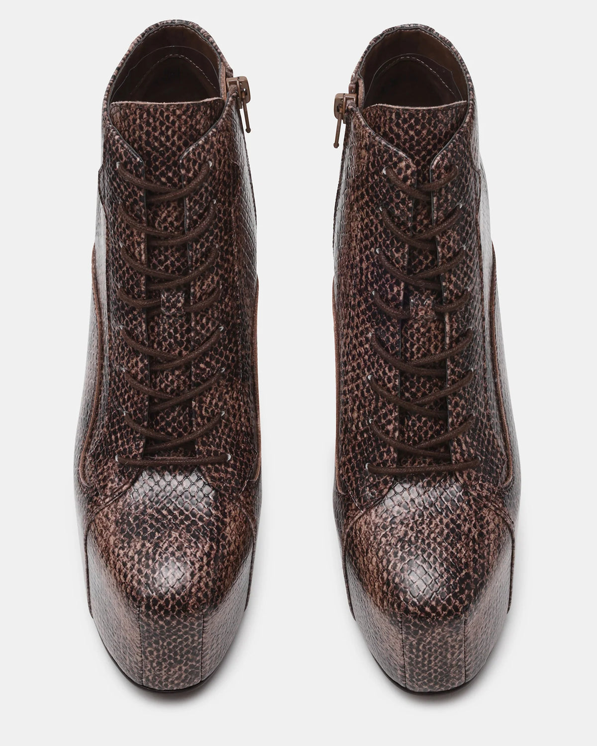 Steve Madden Australia SHAINA SNAKE - position 5 - view 3