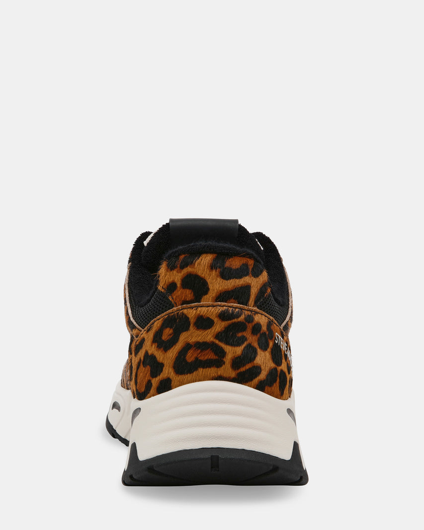 SNEAK-PEAK-L LEOPARD