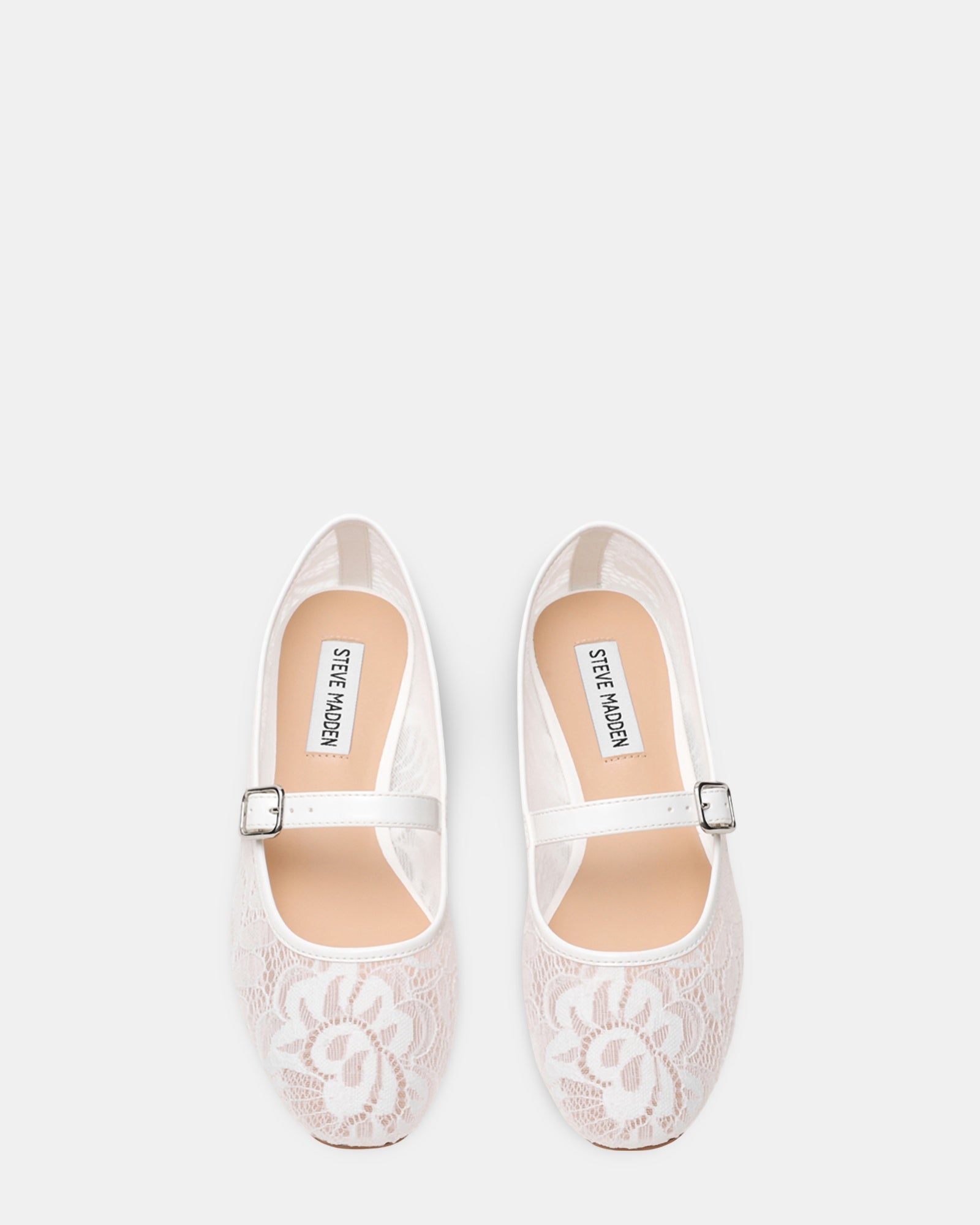 WILDFLOWER-L WHITE LACE